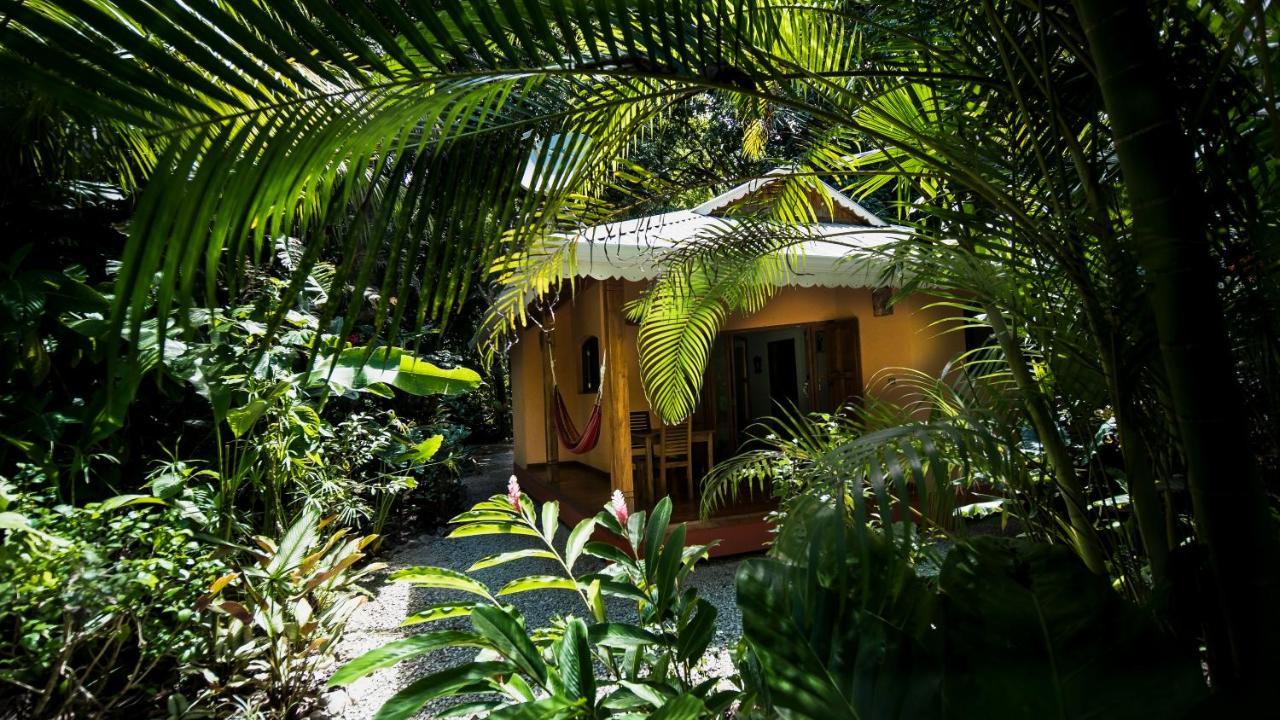 Hotel El Pequeño Gecko Verde Sámara Exterior foto
