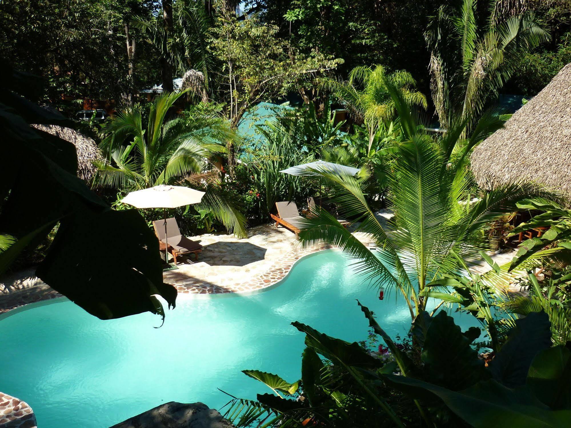 Hotel El Pequeño Gecko Verde Sámara Exterior foto