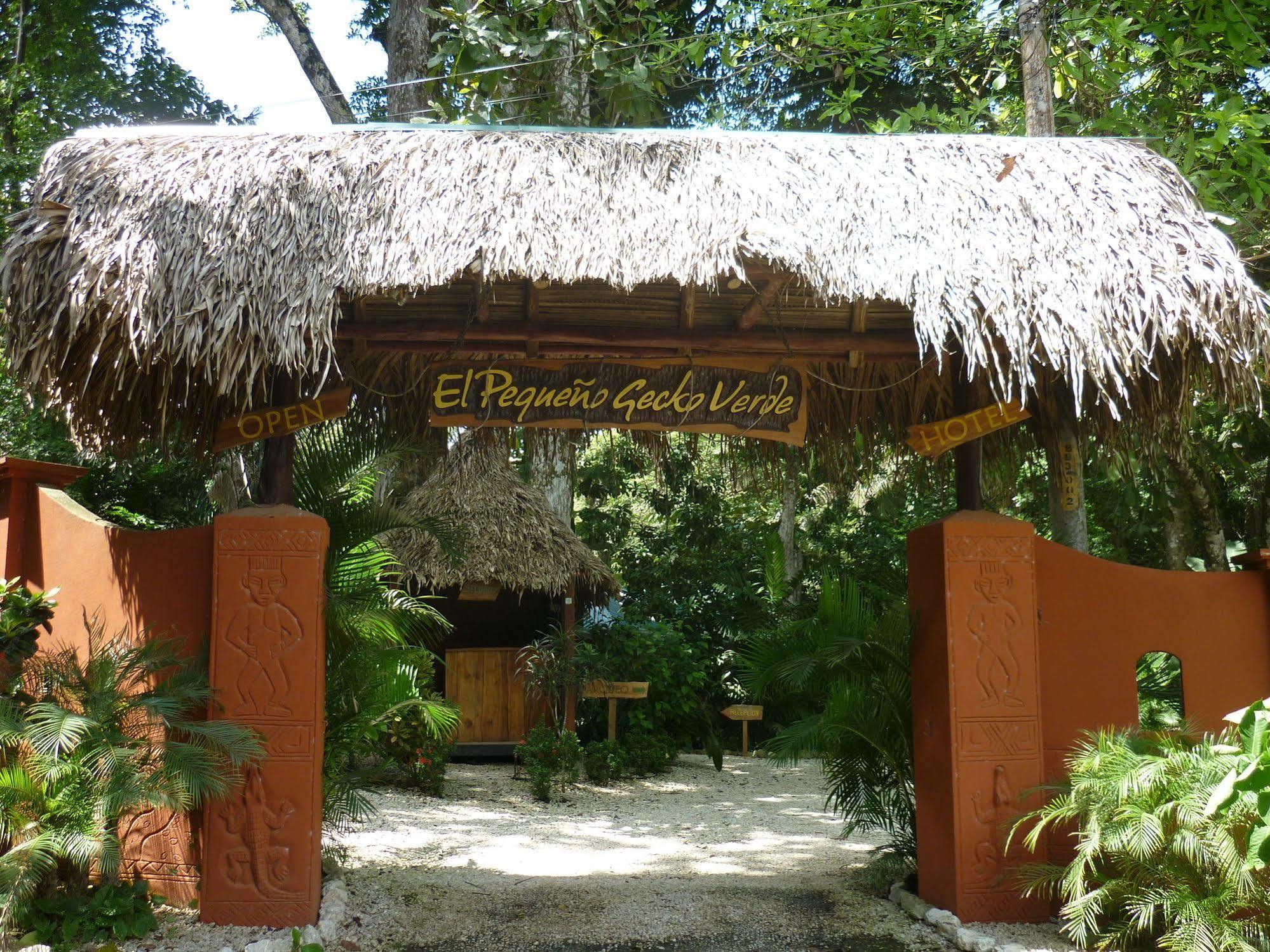 Hotel El Pequeño Gecko Verde Sámara Exterior foto