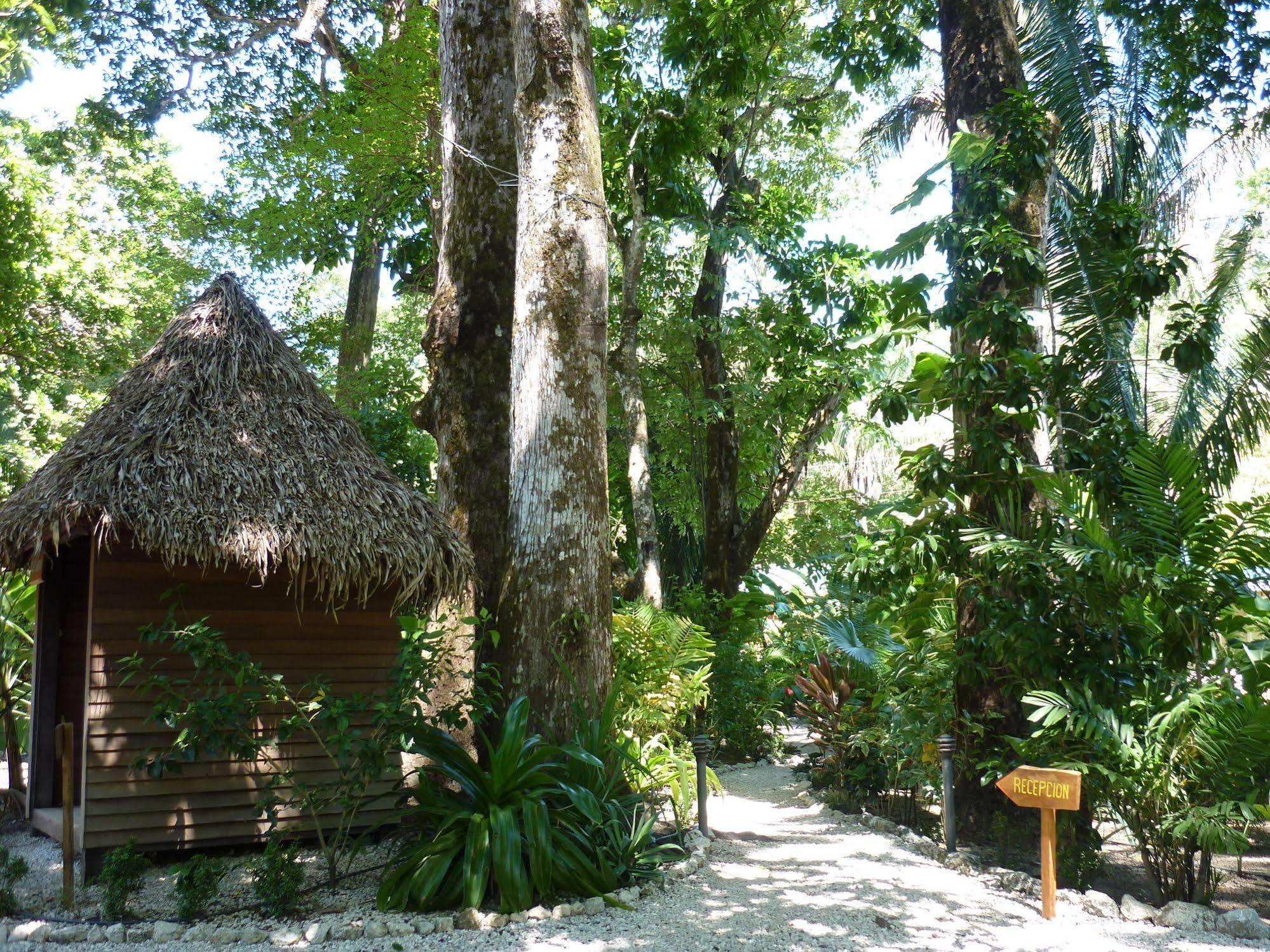 Hotel El Pequeño Gecko Verde Sámara Exterior foto