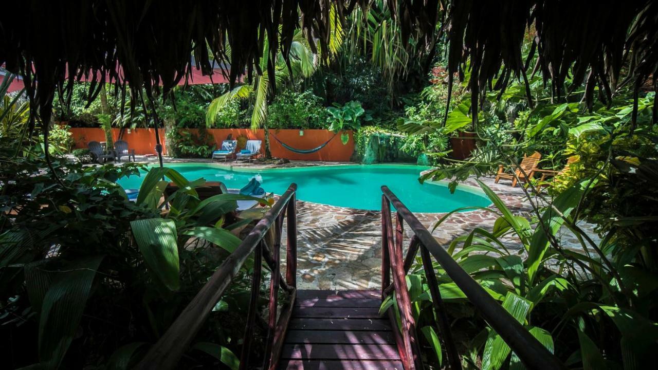 Hotel El Pequeño Gecko Verde Sámara Exterior foto